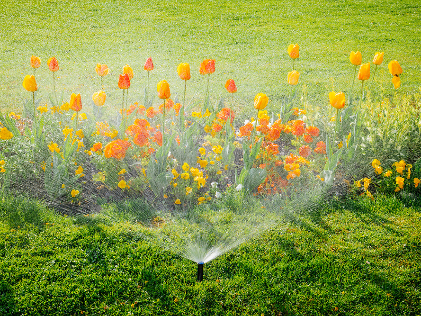 Irrigation & Sprinkler Repair Vero Beach, Fort Pierce & Port St. Lucie